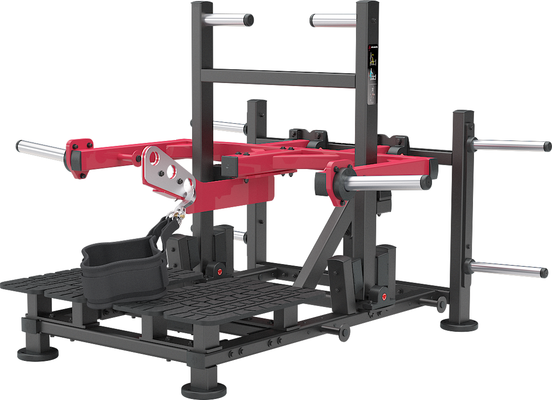 Appareil pour flexions (avec ceinture)